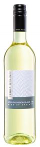 TERRA MOLINO AIREN-SAUVIGNON BLANC