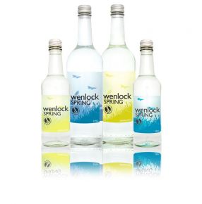 WENLOCK SPRING WATER SPARKLING 330ml nrb